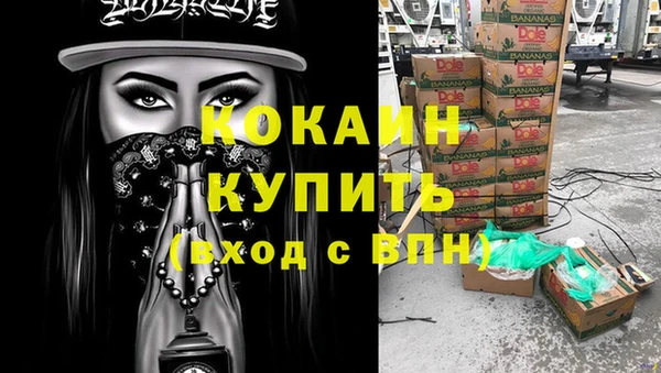 PSILOCYBIN Арсеньев