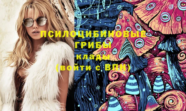 PSILOCYBIN Арсеньев