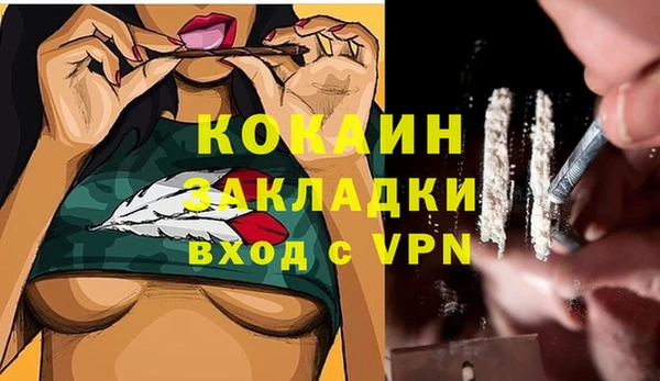 PSILOCYBIN Арсеньев