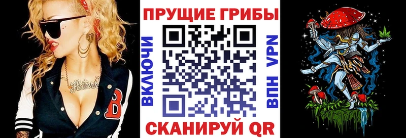 Псилоцибиновые грибы Psilocybe  Ступино 